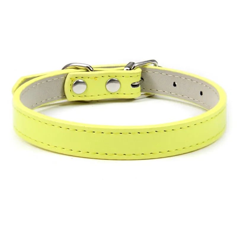 Collier chiot de couleur jaune pour petit chien. Image produit Boutiquechien 