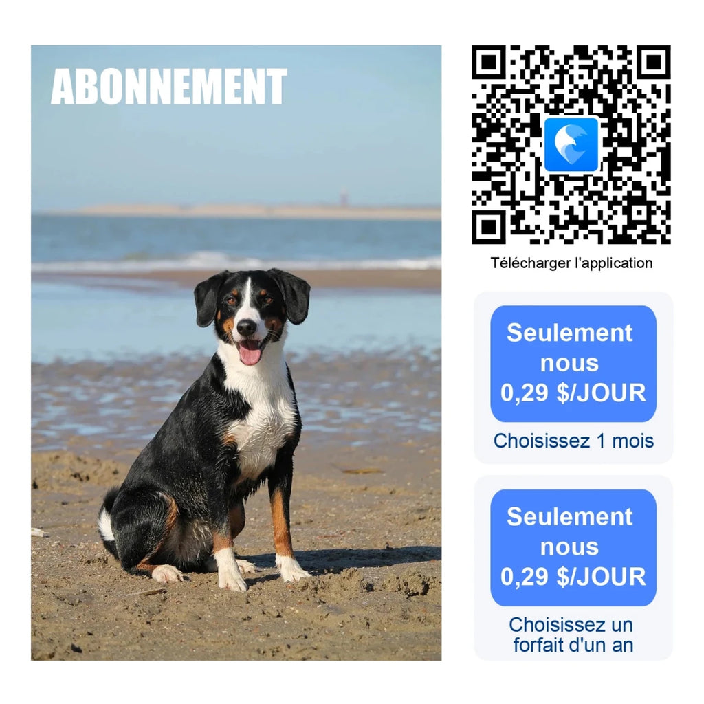 Colliers reperage pour chiens fonctionnement