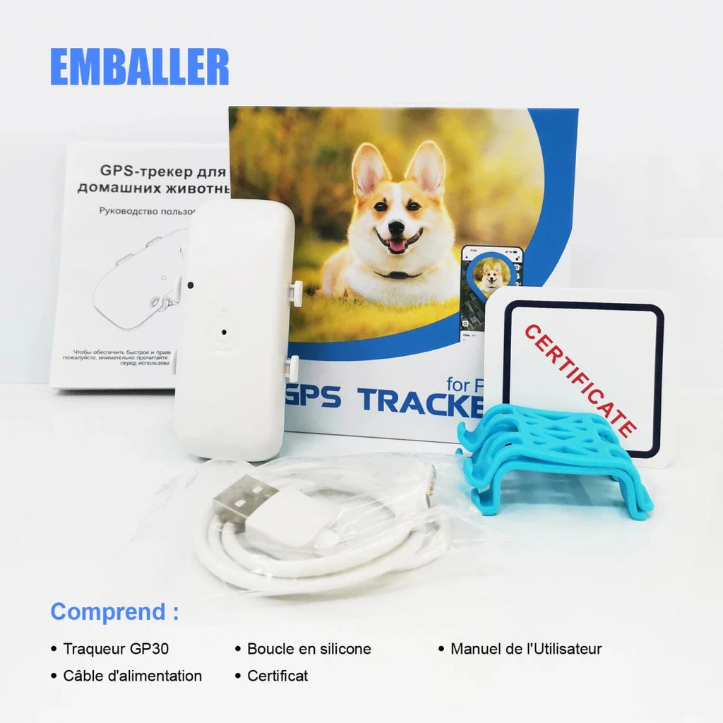 Colliers reperage pour chiens emballage 
