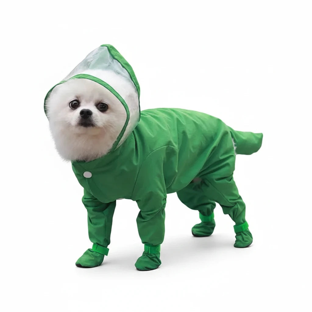 Petit chien de couleur blanc dans un grand imperméable de couleur vert dans une rue. Le chien porte une combinaison intégrale de la tête à la queu sur un passage piéton blanc. Image produit Boutiquechien