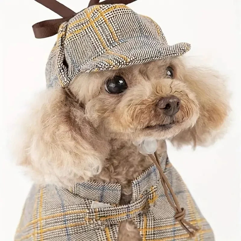 costume de détective pour chien de couleur gris sur un petit chien de couleur claire. Image produit Boutiquechien