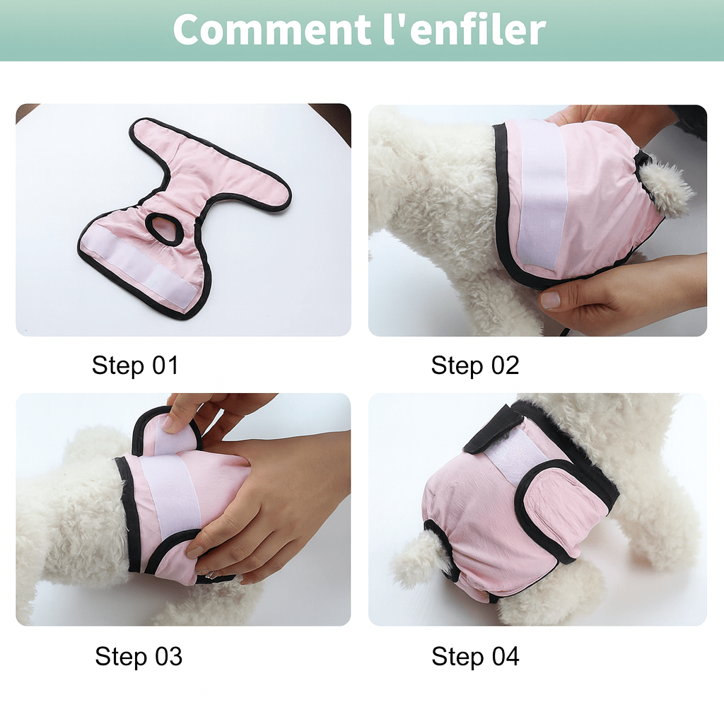 étape de mise en place de la couche pour chien de boutiquechien