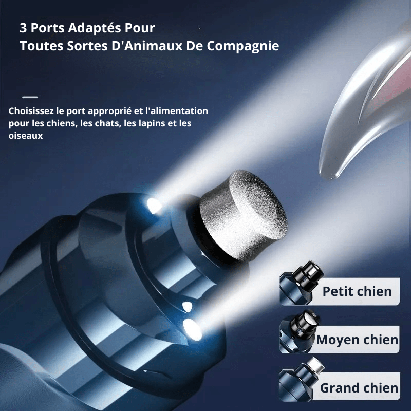 led de la ponseuse pour griffe de chien de plusieurs dimensions. Image produit Boutiquechien 