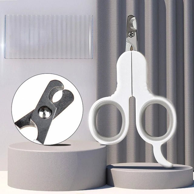 couple ongle pour chien de couleur noir et blanc sans led. Image produit Boutiquechien