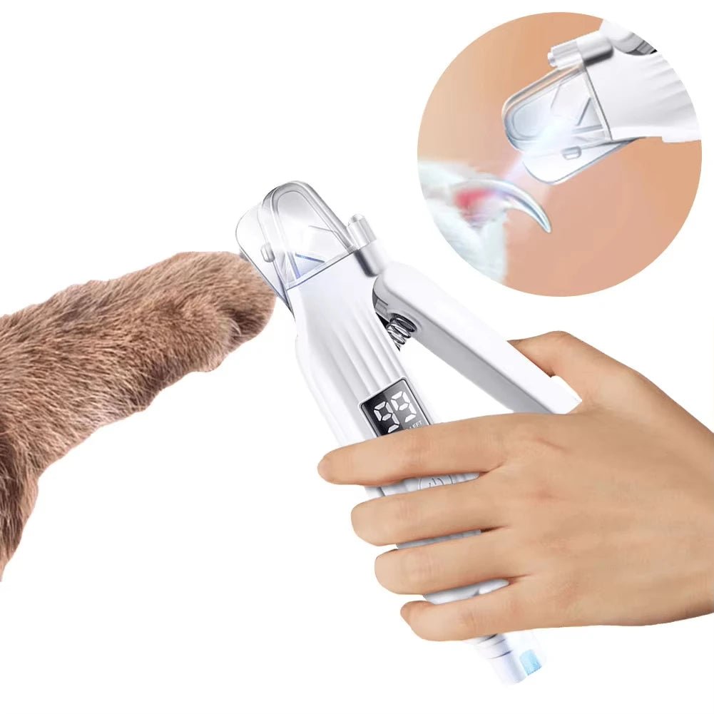 Coupe ongle professionnel pour chien led 