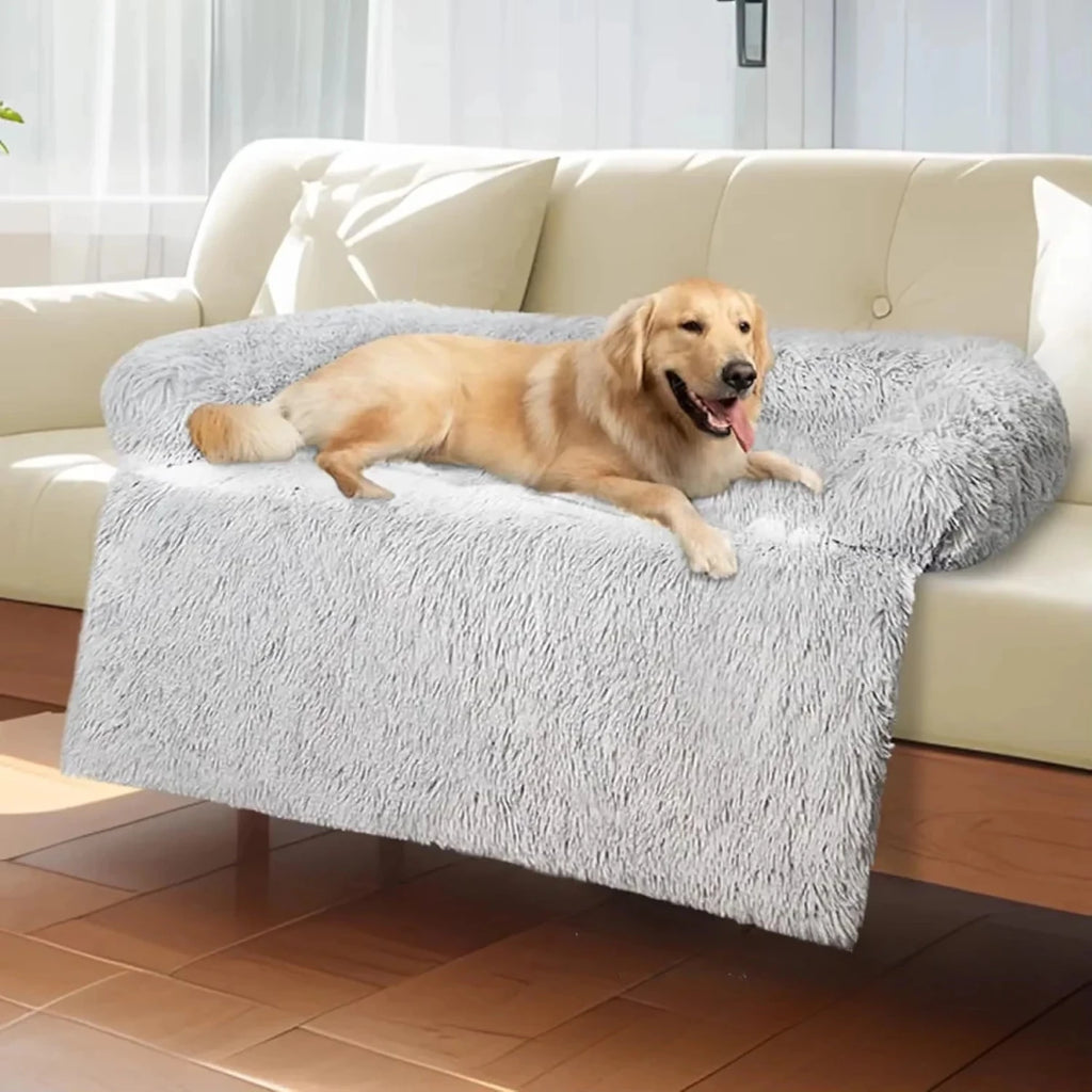 Coussin de canape pour chien gris sur canapé 