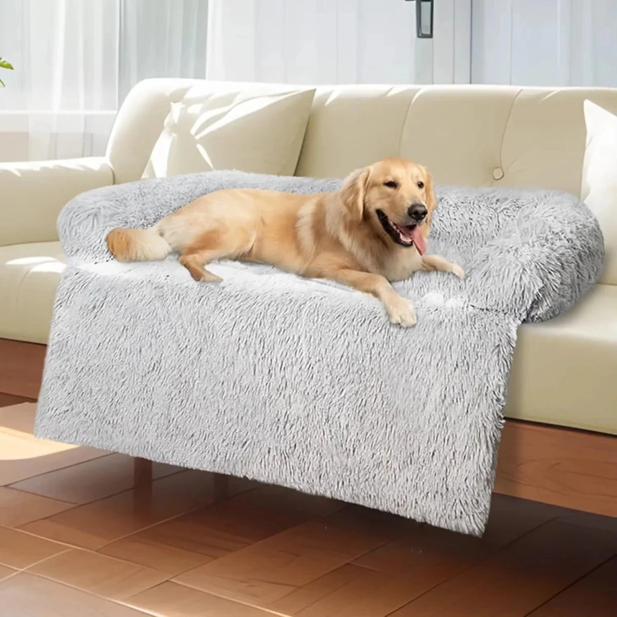 Coussin de canape pour chien gris sur canapé 
