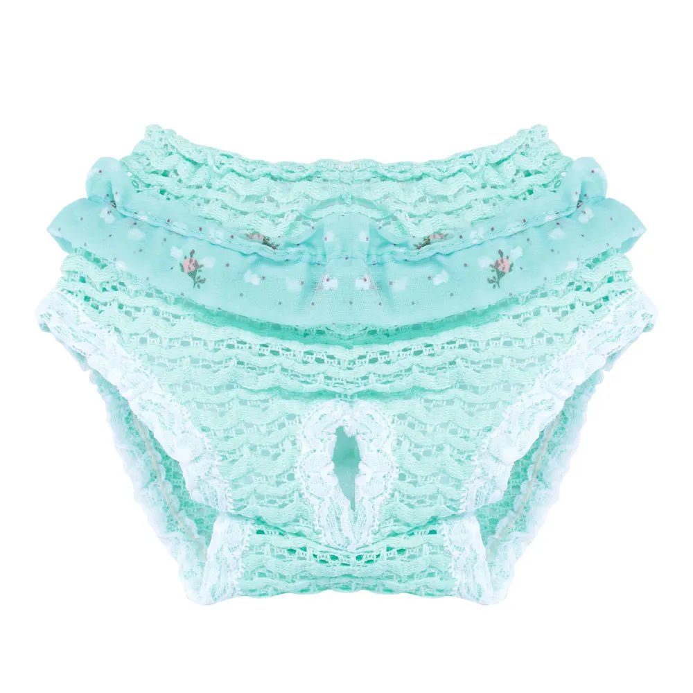 Culotte pour chien de couleur bleu pour les petits chiens. Image produit Boutiquechien