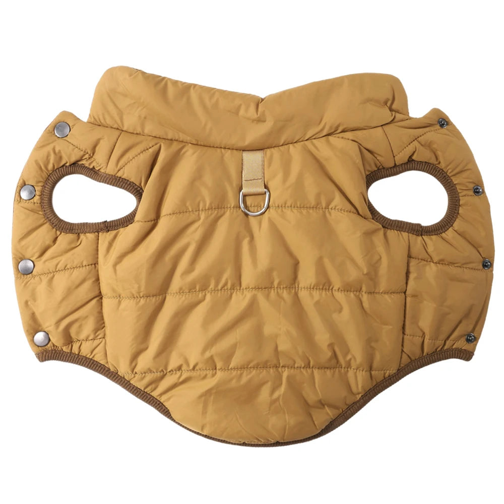 Dessus de la veste pour chihuahua de cpimeir claire avec 4 boutons de pression et une attache de laisse. Image produit Boutiquechien