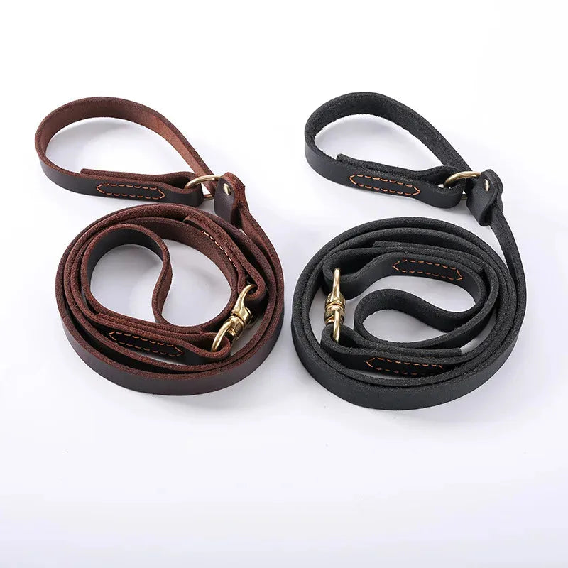 Laisse pour chien husky noir et brune Image