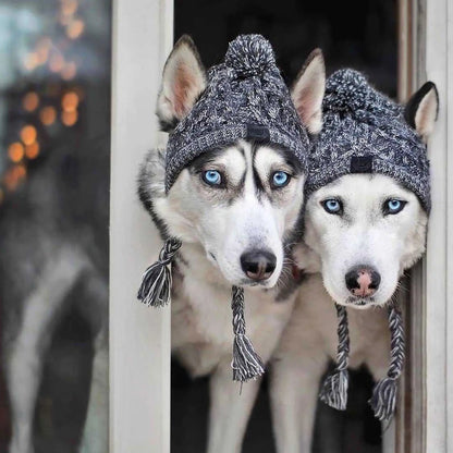 Deux chien de couleur blanc et gris portant chacun deux bonnets gris. Les chiens ont la tête par la porte fenêtre. Image produit Boutiquechien
