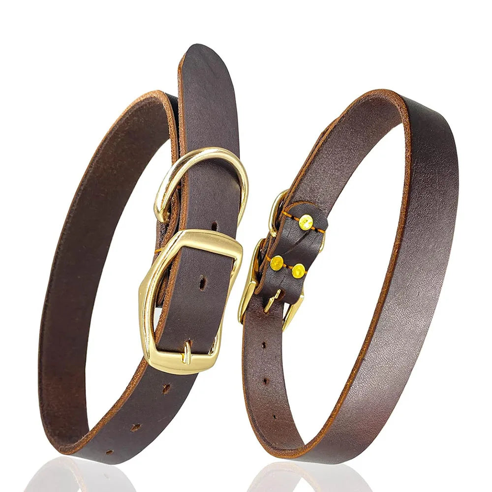 différente vue du collier chiot cuir de couleur brun avec des attaches or