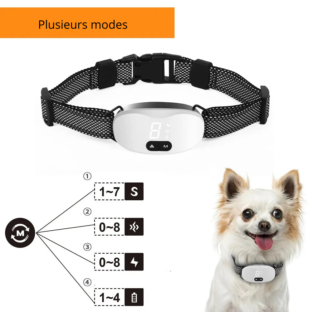 Un petit chien portant le collier anti-aboiement chien de couleur blanc. Image produit Boutiquechien