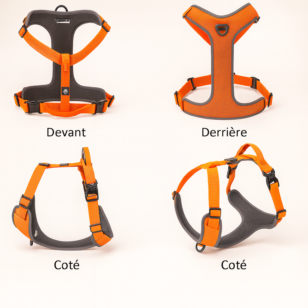 différentes vu du harnais parachute pour chien de boutiquechien