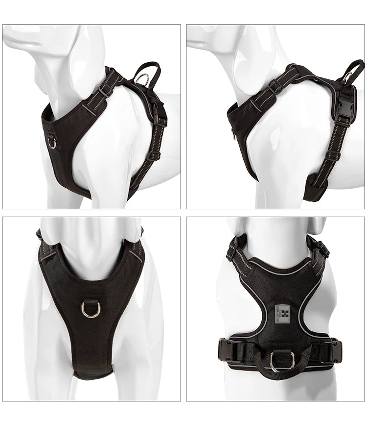 differentes vue du harnais nylon gros chien noir sur un chien mannequin blanc Image