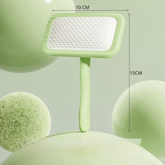 brosse pour chien de couleur verte design. Image produit Boutiquechien
