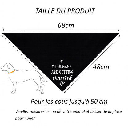 dimension total du bandana pour chien de couleur noir avec toutes les instructions de tailles. Image produit Boutiquechien