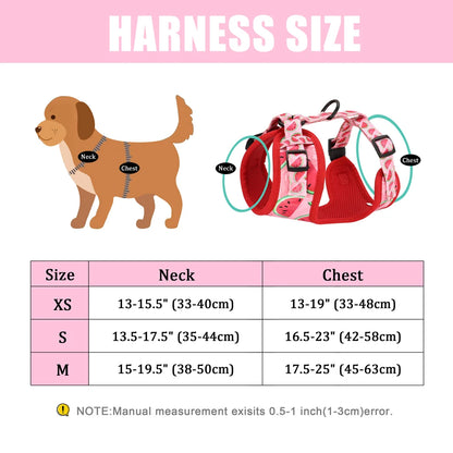 dimension du harnais pour petit chien colorés 