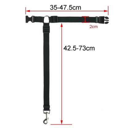 dimensions total de la laisse de sécurité de couleur noir. Image produit Boutiquechien
