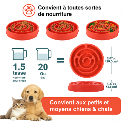 Dimension total de la gamelle pour chine de boutiquechien