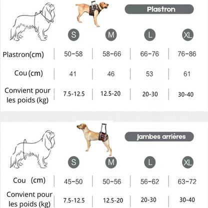 toutes les dimensions du harnais de soutient pour chien de boutiquechien 