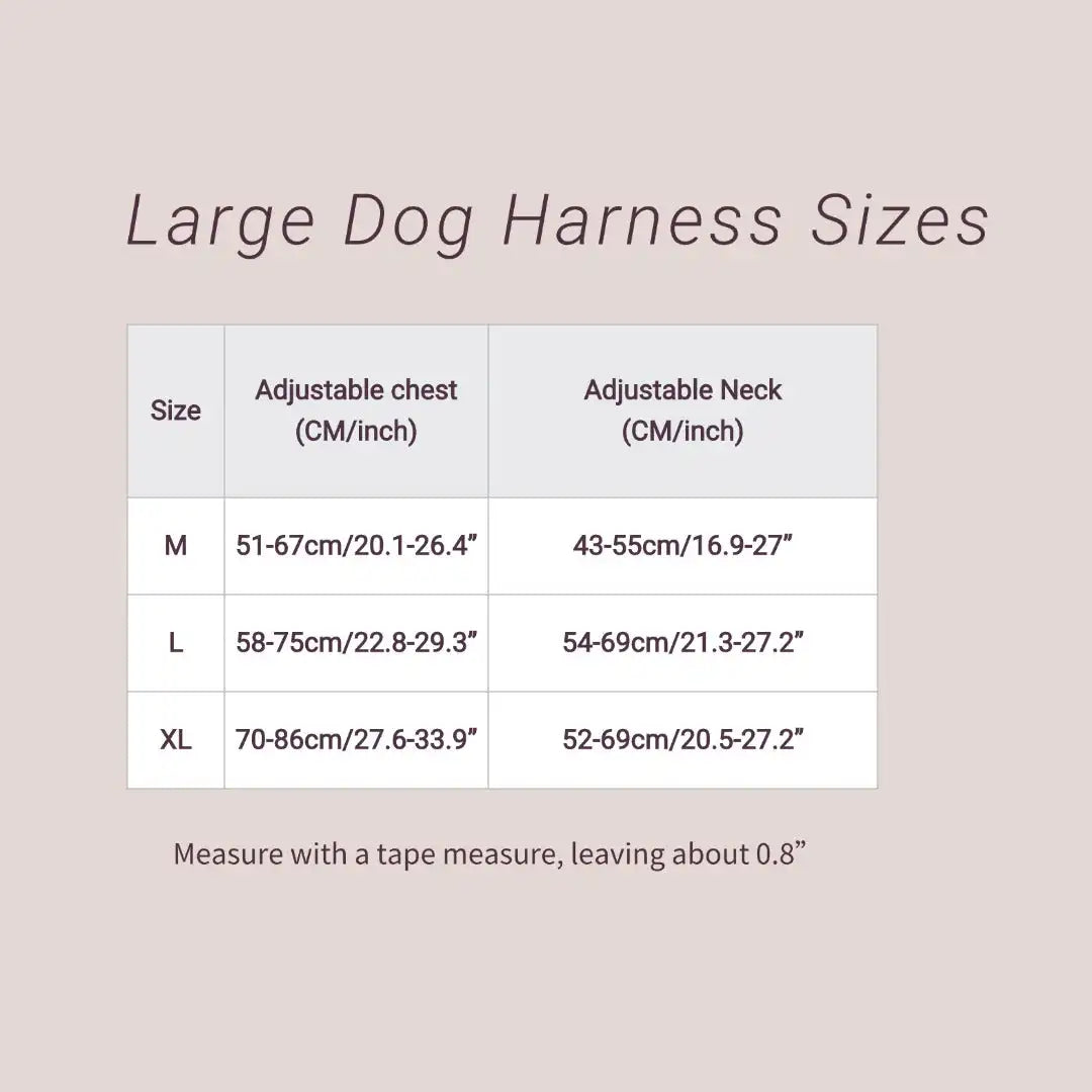 Dimension total du harnais pour chien cuir avec toutes les dimensions. Image produit Boutiquechien