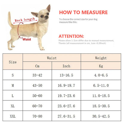 Dimensions total avec fonctionnement de la prise de taille pour la culotte pour chien. Image produit Boutiquechien