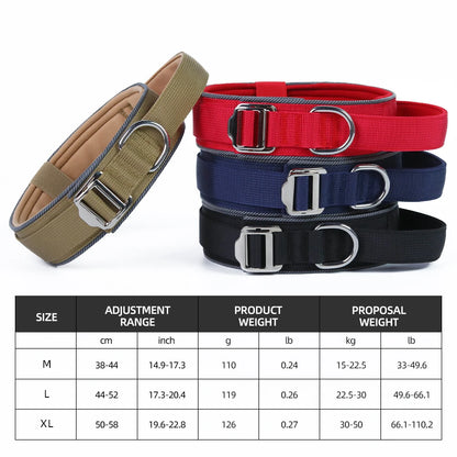 Collier de dressage chiot avec le tableau total des dimensions