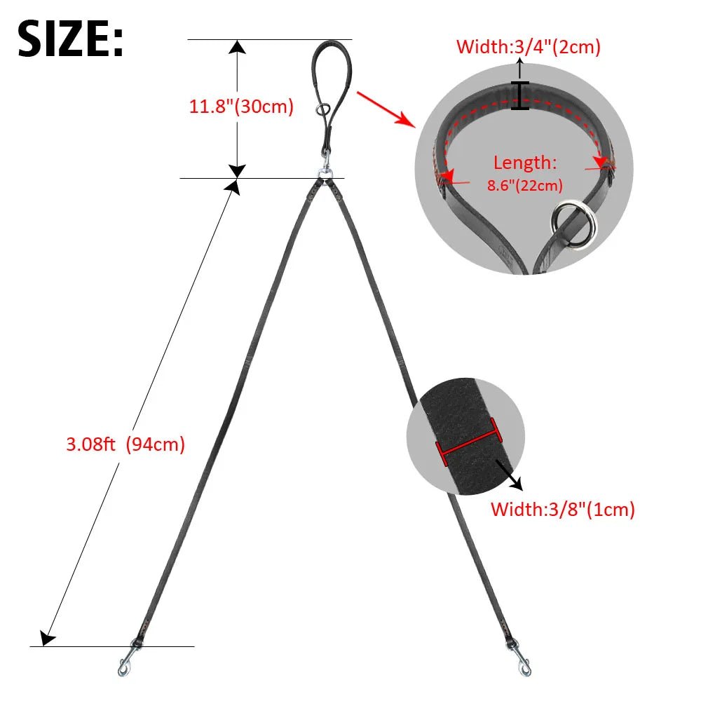 Double laisse pour chien dimensions 