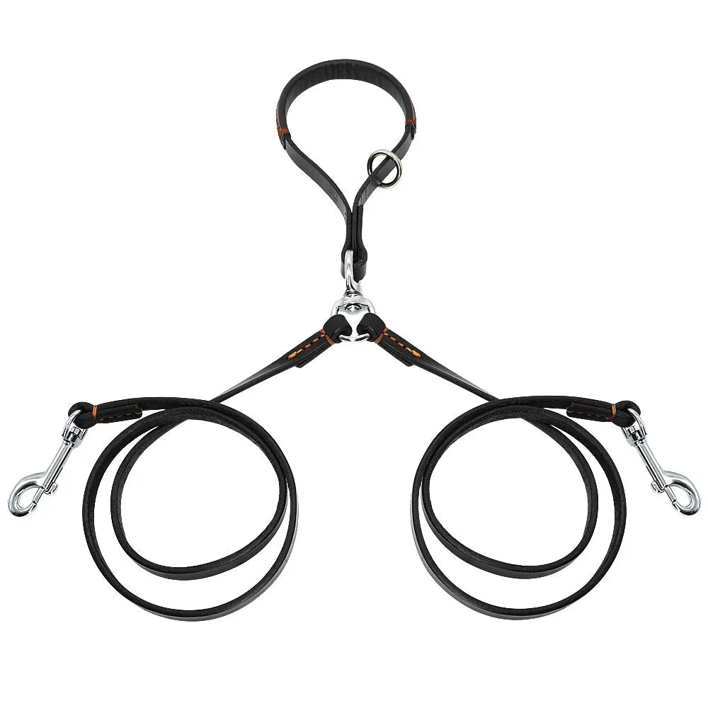 chien laisse double de couleur noir. Image produit Boutiquechien