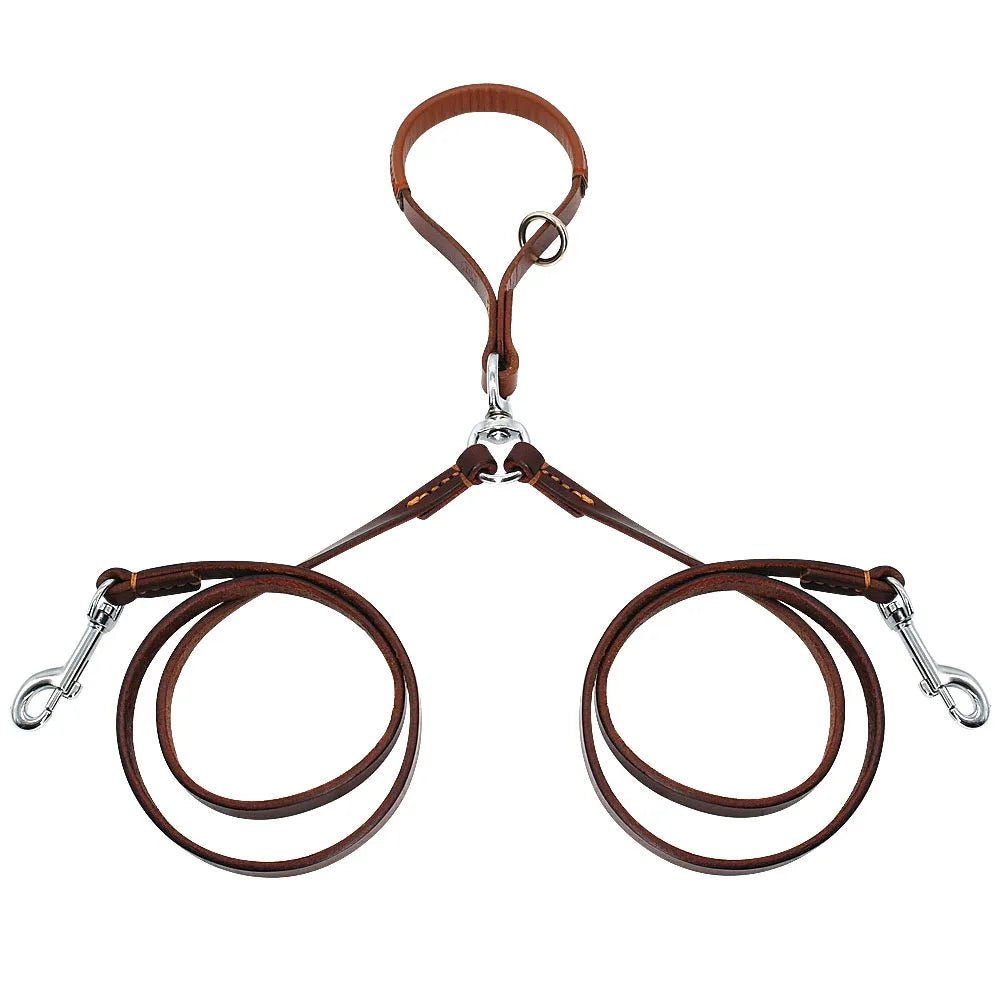 laisse double pour chien de couleur brun. Image produit Boutiquechien 