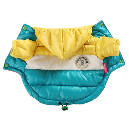 Doudoune pour chihuahua de couleur bleu et jaune. Doudoune pour les petit chihuahua de couleur rose et rouge. Image produit Boutiquechien