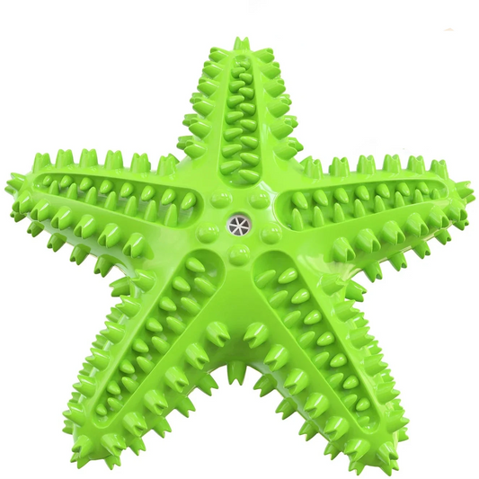 étoile de mer verte en caoutchouc résistant et durable pour chien. Image produit Boutiquechien