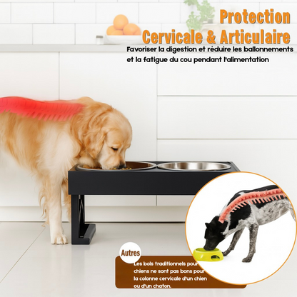 Image montrant un chien mangeant à bonne hauteur avec deux gamelles en inox. Image produit Boutiquechien