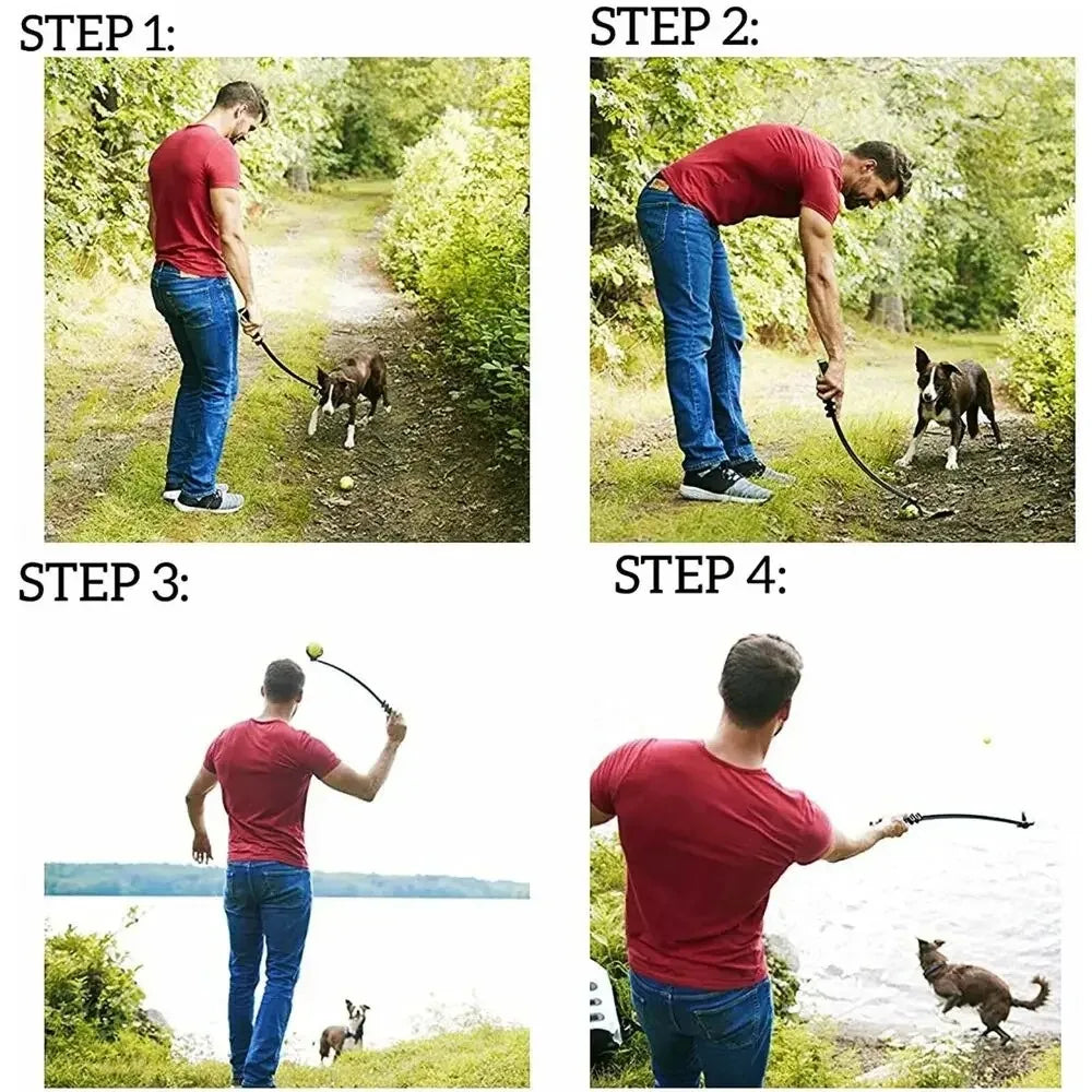 fonctionnement du lanceur de balle pour chien de boutiquechien Image