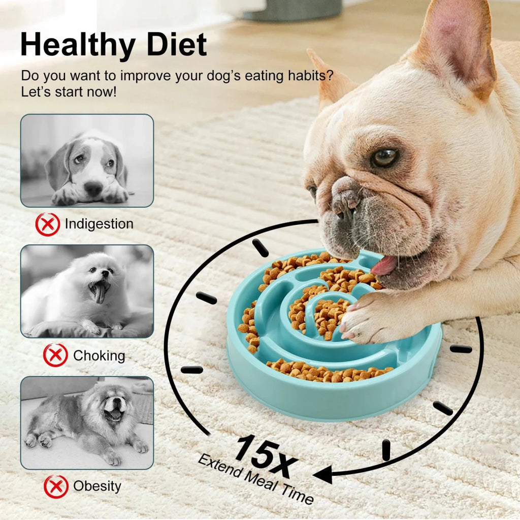 Gamelle anti glouton chien bouledogue francais avantages 