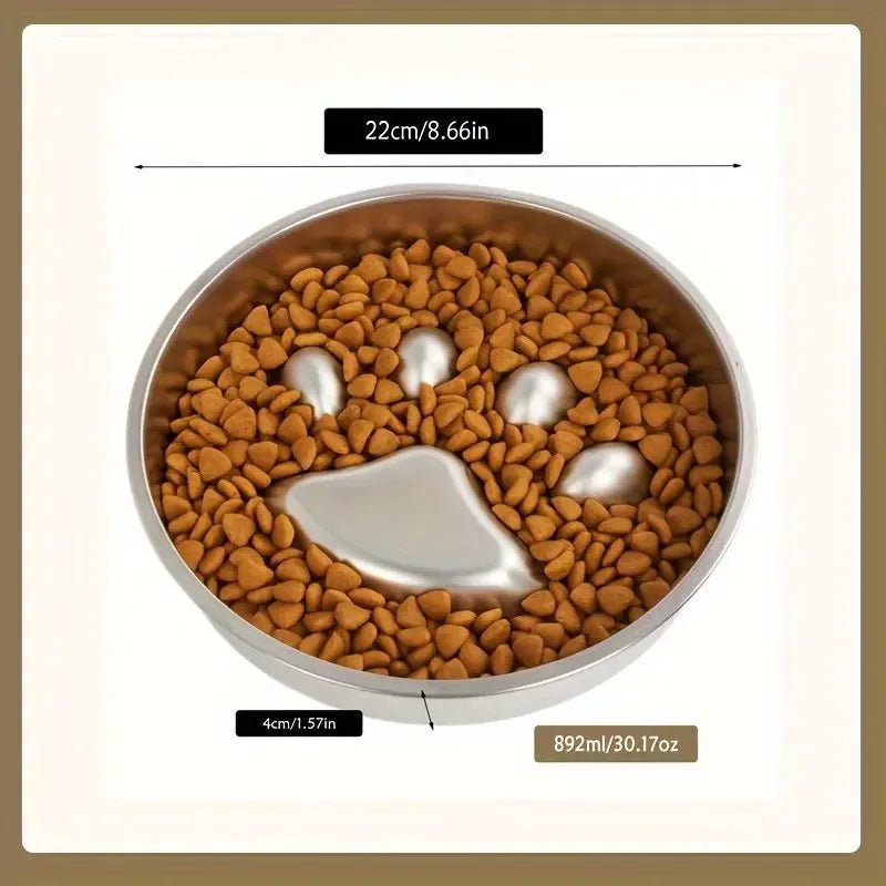 Gamelle pour chien anti glouton en inox avec une patte dans la gamelle. Image produit Boutiquechien
