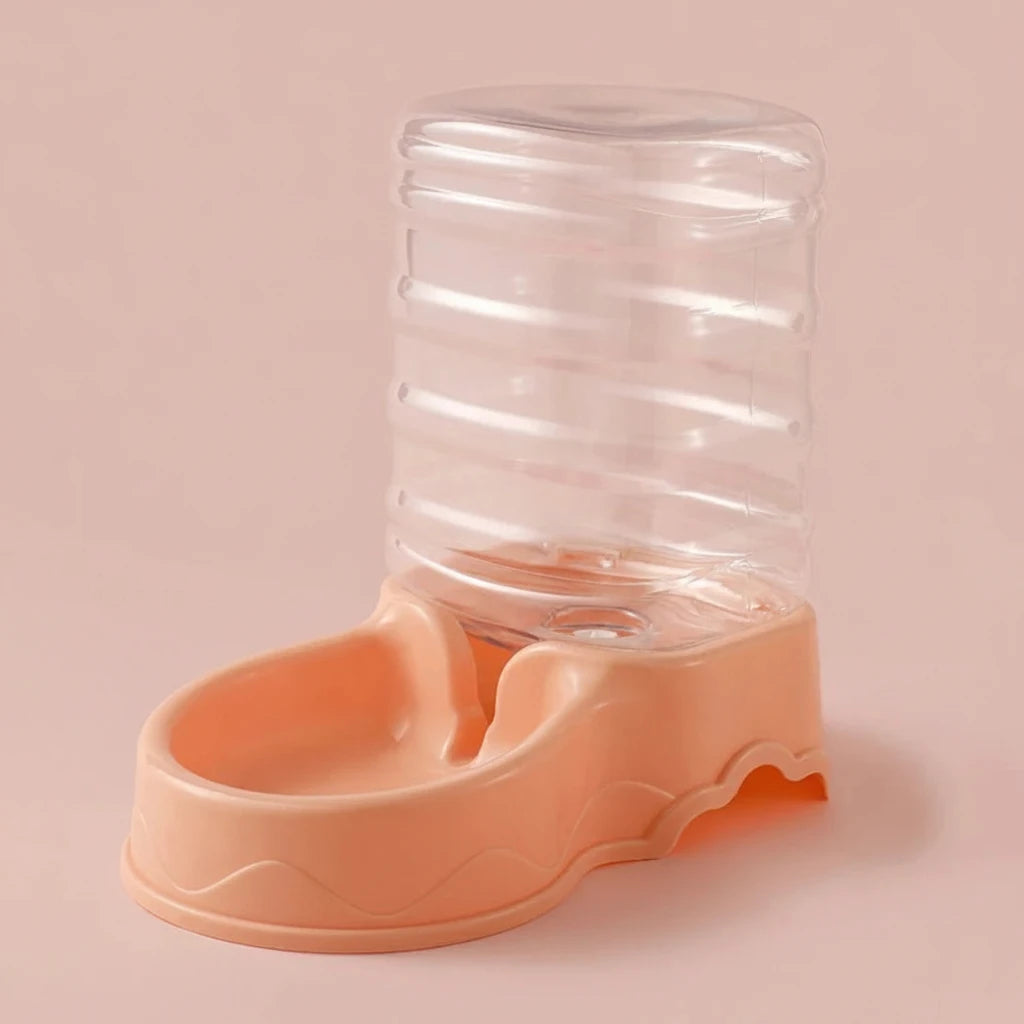 Gamelle chiot elevage orange eau peche  