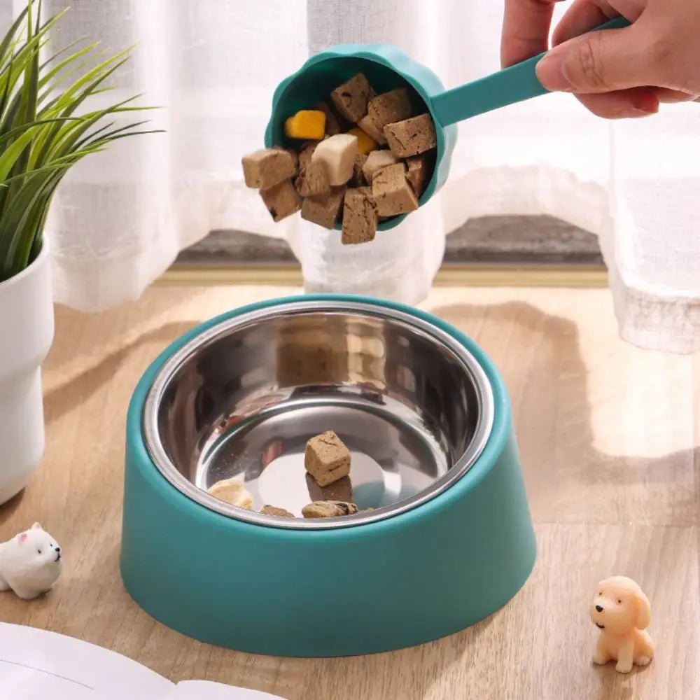 Gamelle design chien avec mis en place de nourriture dedans