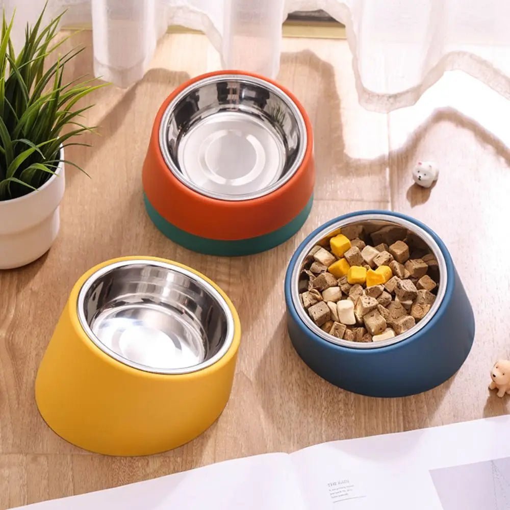 Gamelle design chien en valeur dans un salon claire 