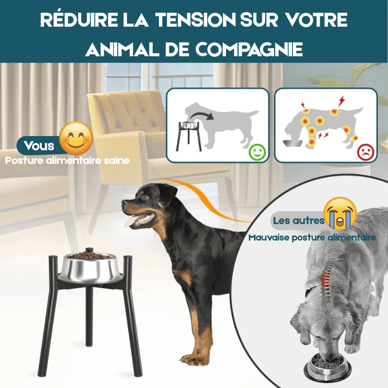 Avantage du support de gamelle surélevé pour chien. Image produit Boutiquechien