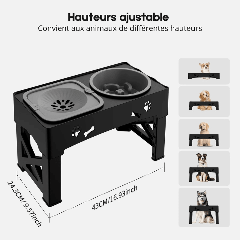 Hauteur de la gamelle double ajustable avec toutes les tailles du produit avec un exemple des chiens. Image produit Boutiquechien