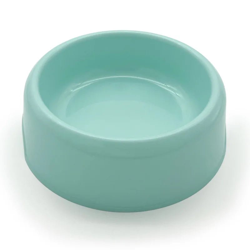 gamelle chiot de couleur vert pour les chiot et petit chien. Image produit Boutiquechien