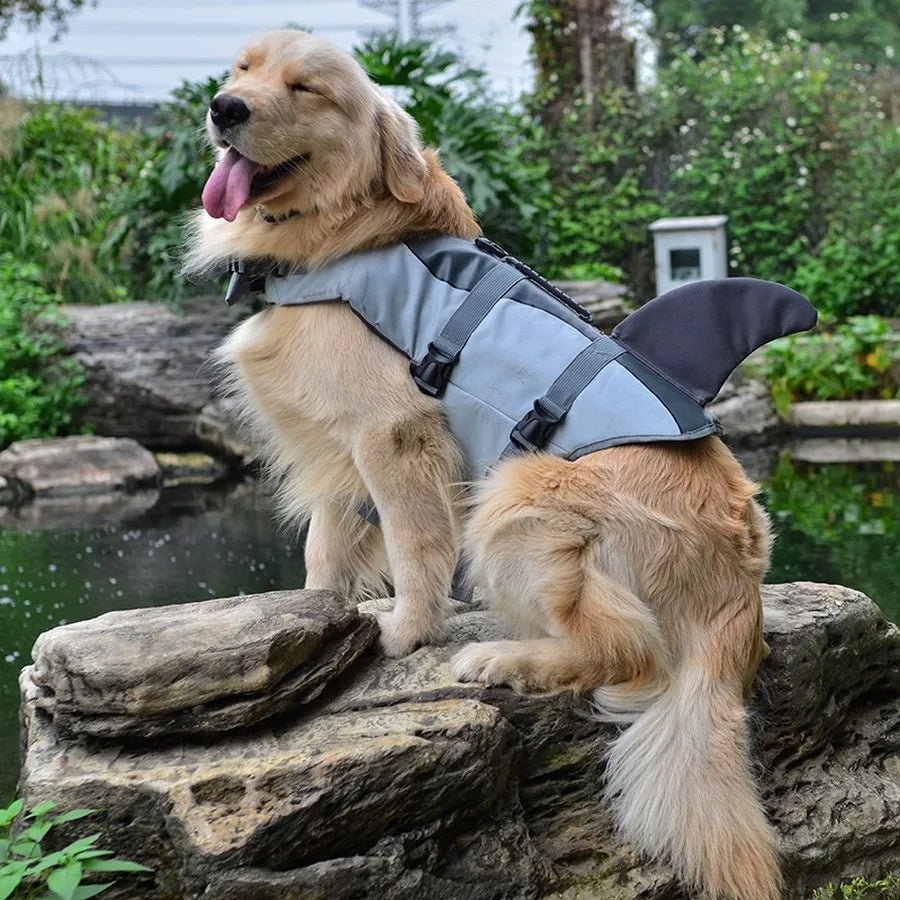Grand chien de couleur blanc assis sur une pierre proche de l'eau. Le chien porte un gilet de sauvetage de couleur gris avec une forme de requin. Image produit Boutiquechien