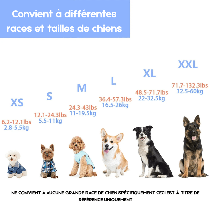 toutes les tailles de chien pour connaître le harnais correspondant. Image produit Boutiquechien