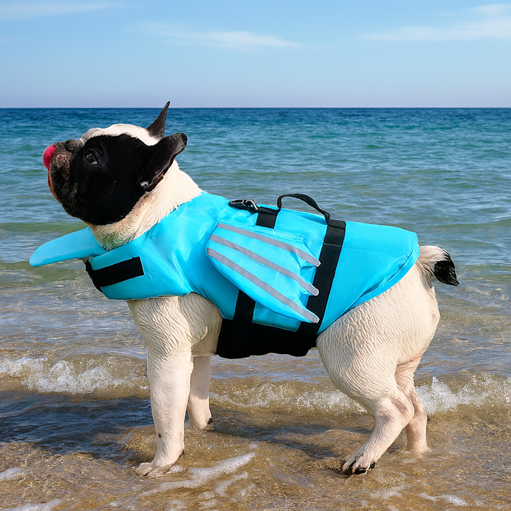 Gilet de sauvetage en forme de dragon de couleur Bleu, porté par un buldog de couleur blanc et noir avec en fond la mer sur le sable. Image produit Boutiquechien