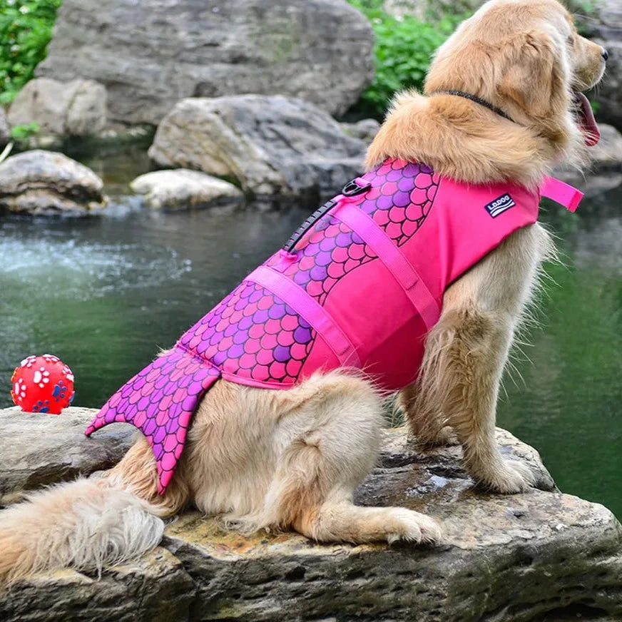 Gilet pour chien de sauvetage de couleur rose avec une forme de sirène. Le chiens près de l'eau. Image produit Boutiquechien