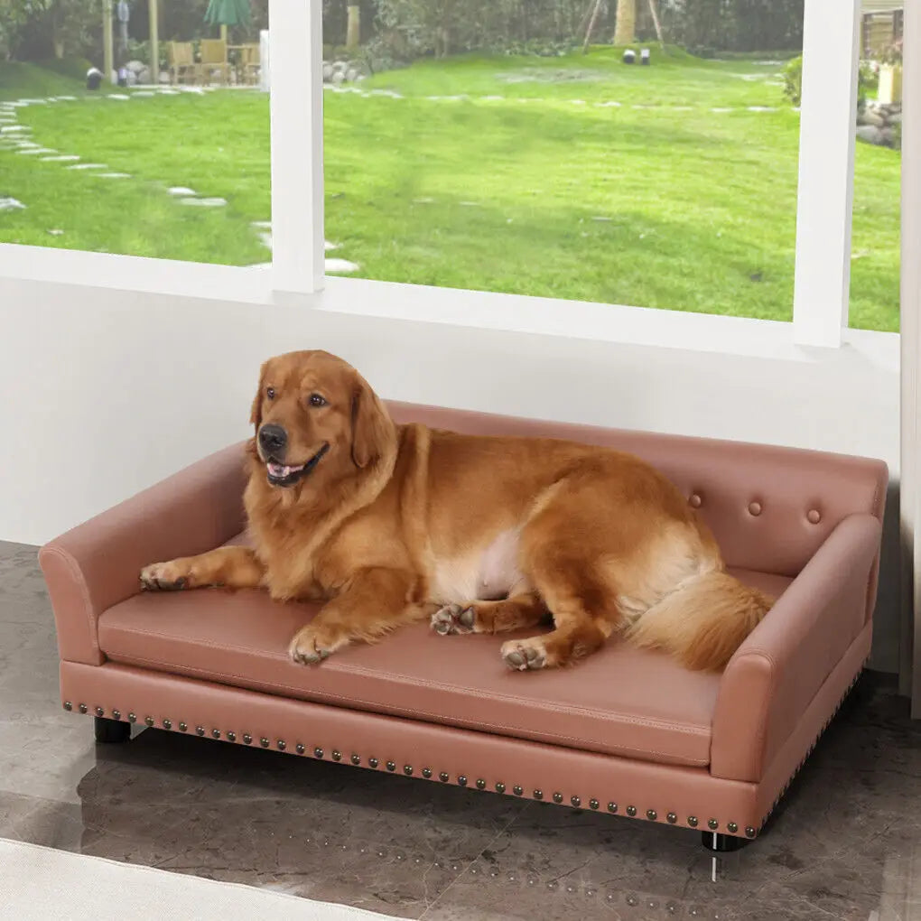 golden retriever brun couché sur un canapé de couleur brun style cuir. Le canapé est dans un salon claire avec en fond un jardin vert. Image produit Boutiquechien Image