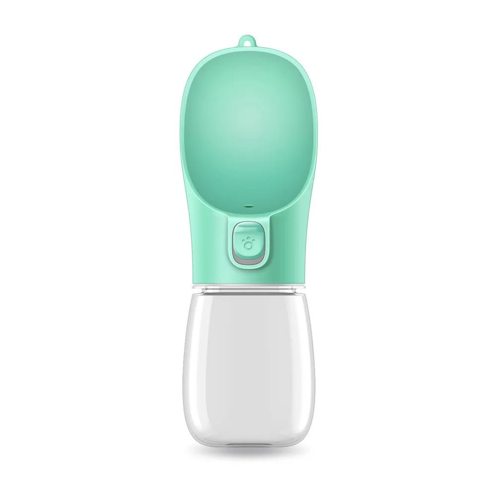 Gourde portable de couleur vert claire avec toutes les dimensions de la gourde. La gourde est faite que pour l'eau avec son style comptact. Image produit Boutiquechien