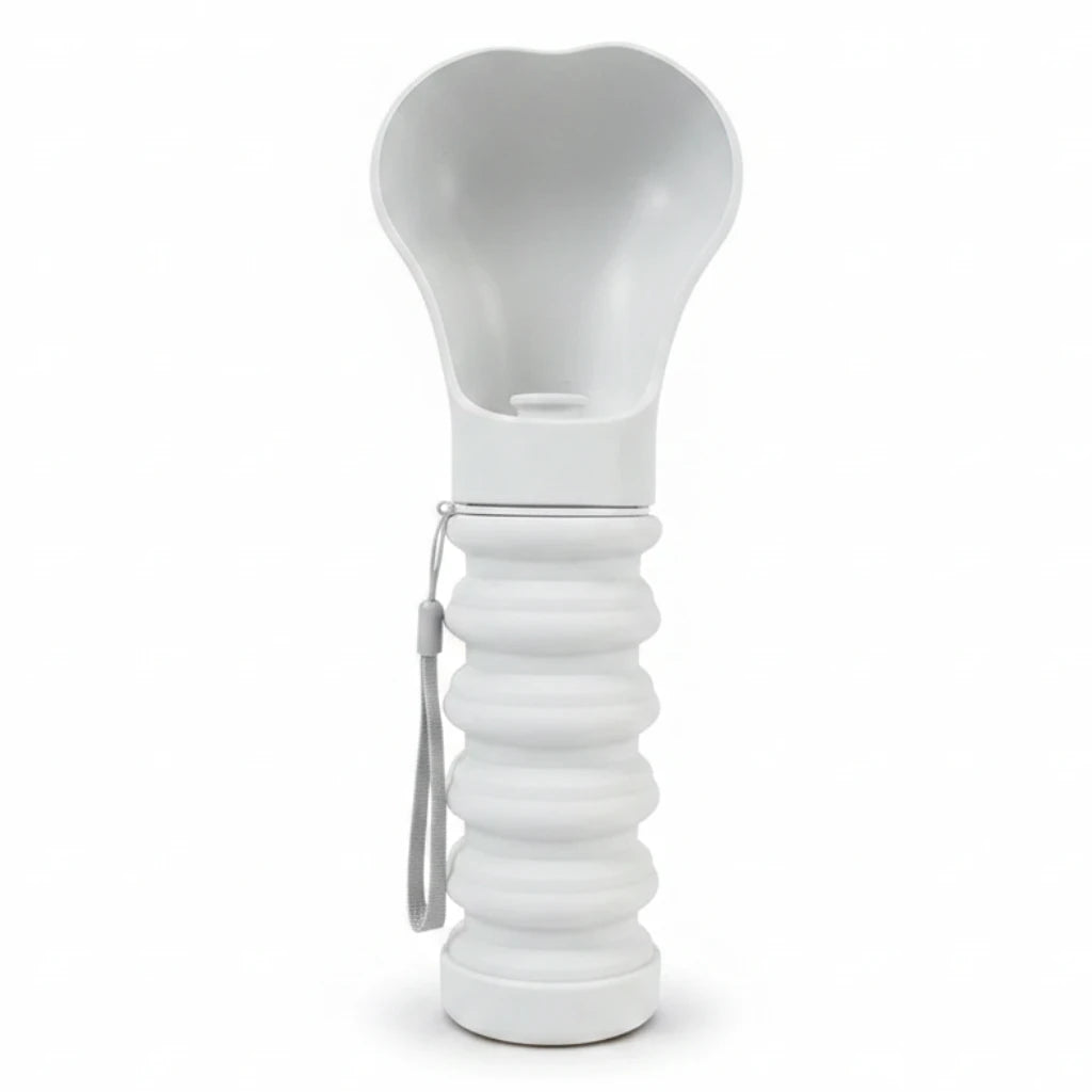 Gourde pliable pour chien pliant